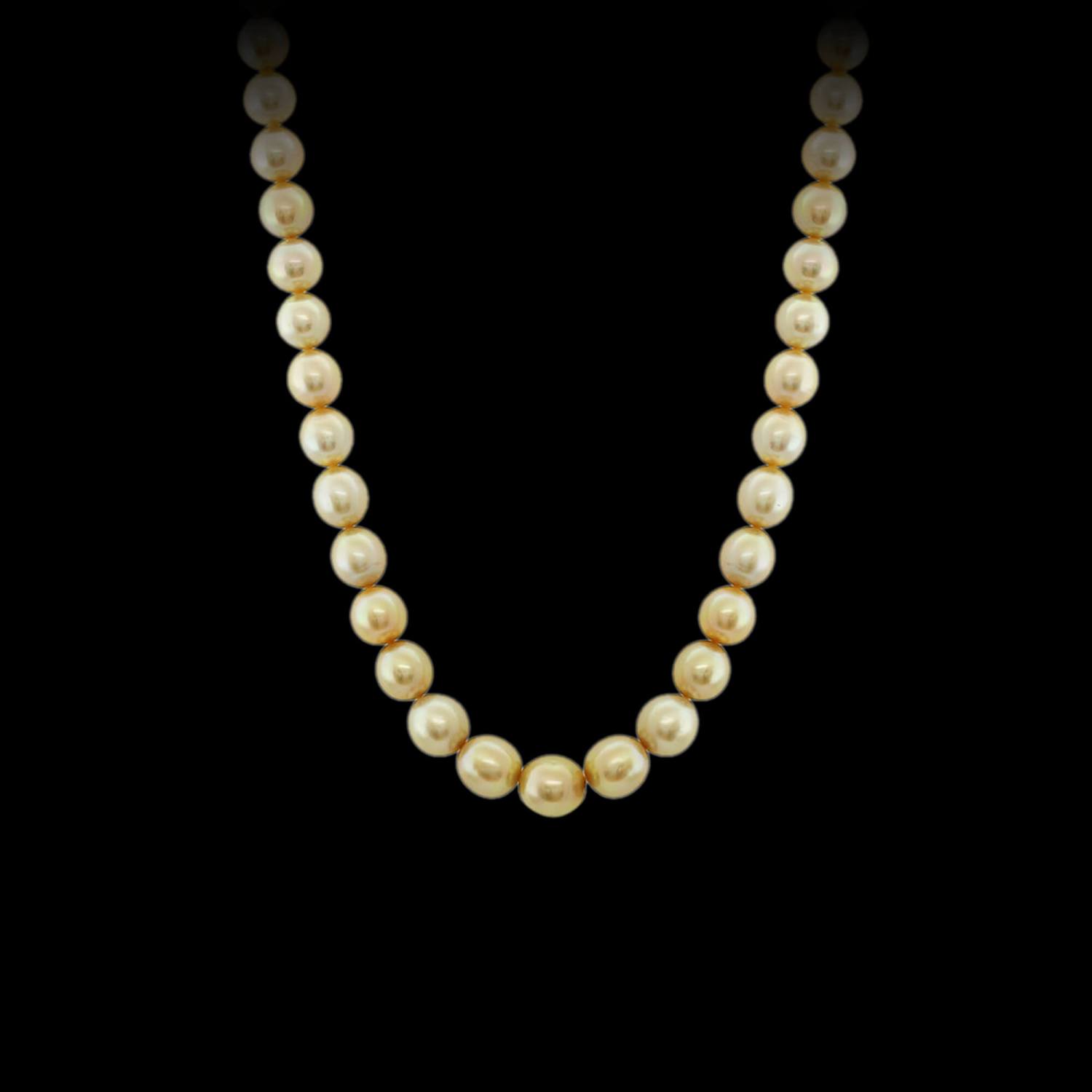 Golden South Sea pearl strand necklace. FRIDA | Fine Jewellery.