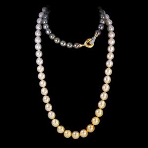 Ombre golden south sea to Tahitian pearls. Alternative Wrap. FRIDA | Fine Jewellery.